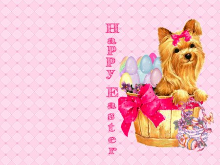 Easter maltes - maltes, puppy, pink, dog, easter, holiday, cute