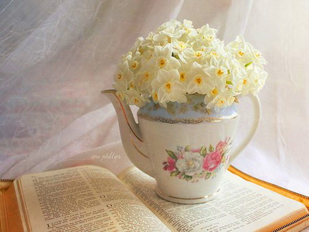 Teapot of spring - white flowers, window, book, teapot, light