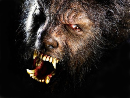 Werewolf - werewolf, movies, animal, predator