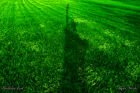 Statue of Liberty Shadow - of, grass, light, shadow, nature, green, bright, liberty, statue