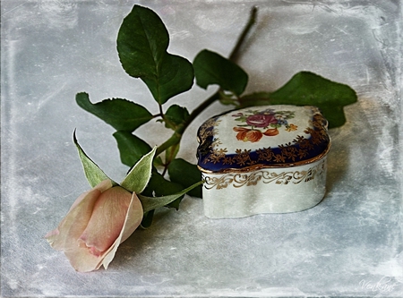 pink rose - beautiful, small, rose, box, pink, still life