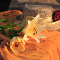 hat and rose