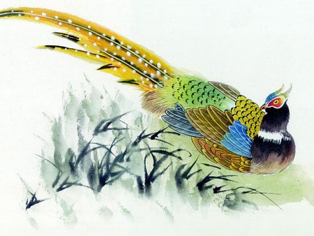 artistic bird... - beautiful, paintings, chinese, bird, artistic