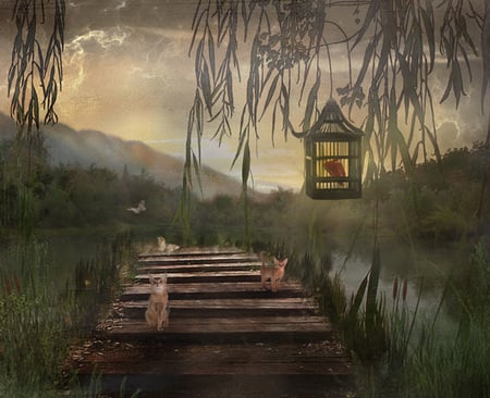 fantasy - nature, bridge, evening, kitty