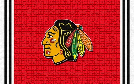 Blackhawks #8 - nhl, chicagoblackhawks, chicago, hockey