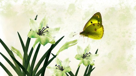 Painted Flowers Green - white, butterfly, lily, green, summer, flowers, firefox persona, spring