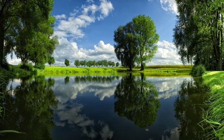 Tree and lake - clouds, lake, cky, reflection, tree