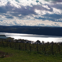 Finger Lakes N.Y.