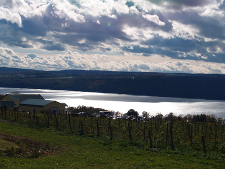 Finger Lakes N.Y. - lakes, nature, country, beautiful