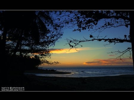 sunset - tree, sunset, sea, blue