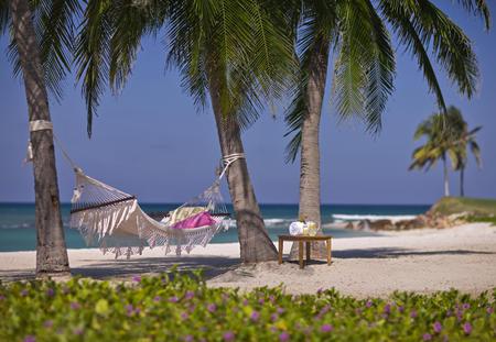 Relax - nice, beach, peaceful, photography, hammock, water, vacation, quiet, pretty, cool, sand, relax, harmony, ocean, palms, lovely, exotic, beautiful, flowers, drinks, sea