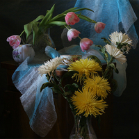 still life