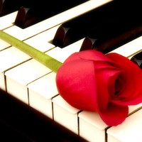 piano & rose