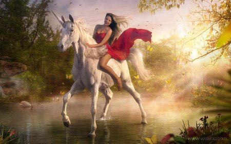 Unicorn - cg, digital art, hd, unicorn, creative, platinum conception