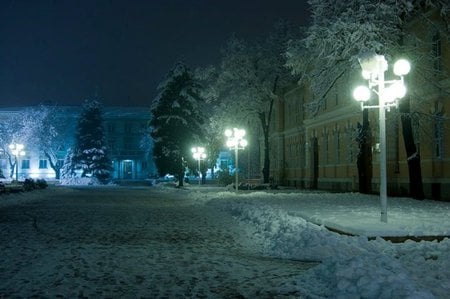 Winter Town - street, trees, photography, pine, white, cold, building, light, winter, night, bulgaria, nature, town, snow, steps, photo, lights