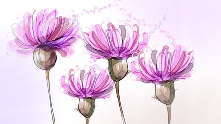 Serratula Coranta - paint, dcattered petals, summer, daisy, spring, flower, pink, firefox persona, flora, purple, floral, art