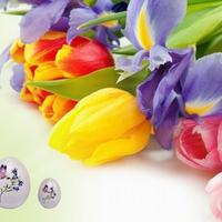 Tulips and Iris for Easter