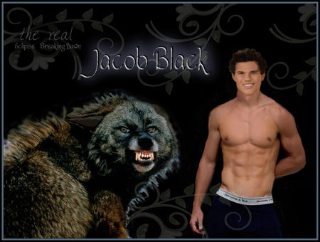 Jacob Black - taylor lautner, actors, stars, twilight, movies