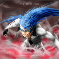 Grimmjow Jeagerjaques