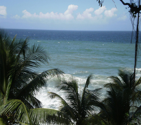 Scenery - nature, scenery, beach, trees