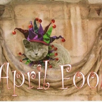 Kitty's April Fool