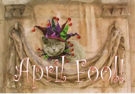 Kitty's April Fool - gray, jester, joker, kitty