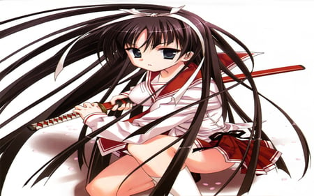 Hotogi Shirayuki - hidan no aria, hotogi shirayuki, female, katana, samurai, sword, anime girl