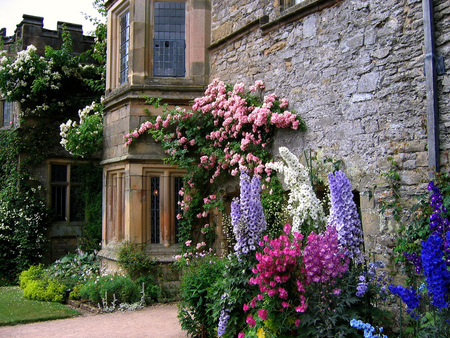 Haddon Hall - flowers, house, roses, facade, beautiful, garden, english