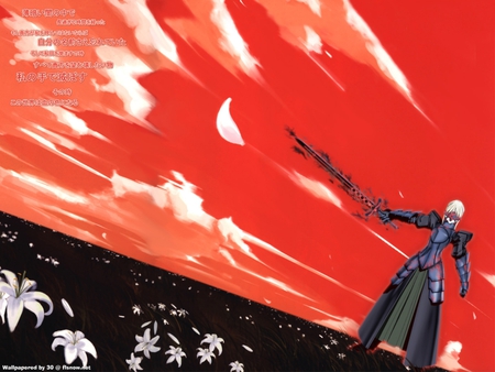 Dark Field - saber, knight, field, saber alter, king, evil, dark saber, fate stay night, dark side, game, anime, excalibur