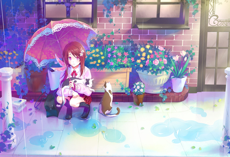 Seifuku - animal, rain, cute, water, beauty, beautiful, flowers, cat, hot, anime, anime girl, girl, umbrella, raining, colerful, sexy