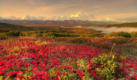 Alaskan-Tundra-in-Autumn-Denali-National-Park - sky, landscape, mountain, nature, clouds, beautiful, sunsets, colors, flowers