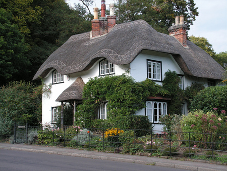 english cottage - house, cottage, old, english