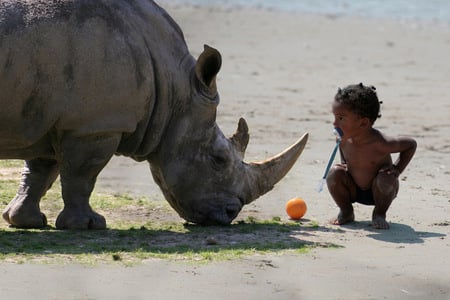 for Jerry - kid, rhino, ball, sand