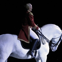 Lipizzan Silhouette