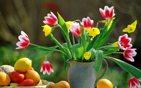 beautiful flowerpot with pretty tulips - tulips, gorgeous, beautiful, colored