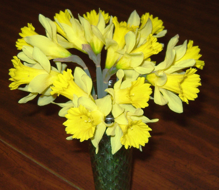 Spring flowers for Easter Time - beautiful, flowers, spring, vase, yellow, still life, daffodils