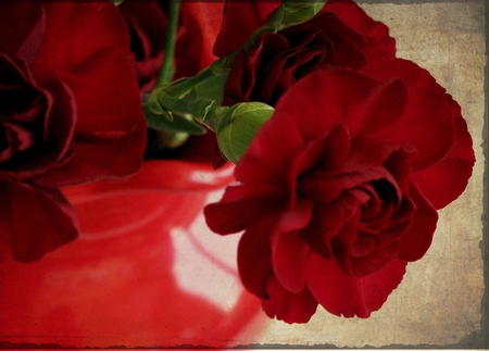 red vase - red, beautiful, flowers, still life, vase