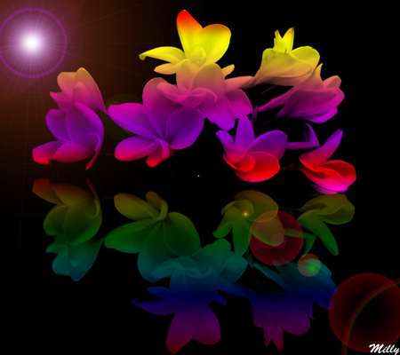 Rainbow Flowers for all my DN friends - love, rainbow, flowers, friendships