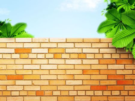 Wall - bricks, design, hd, leaf, wall