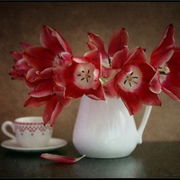 still life