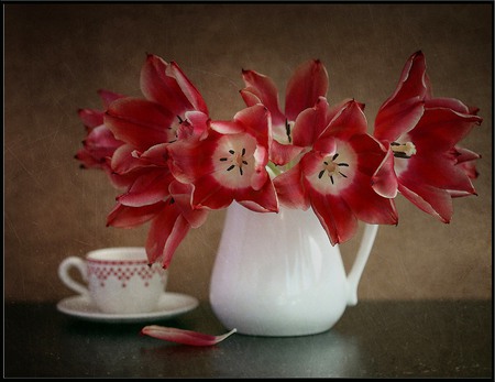 still life - pretty, elegantly, photo, flowers, petal, red, nice, vase, beautiful, photography, kettle, lovely, cool, still life, flower, tulip, bouquet, harmony, white, tulips, nature, cup