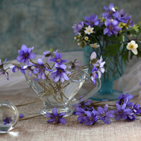 still life
