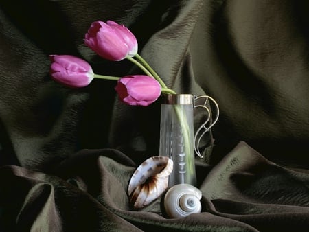 Simply Still Life - mussels, live, black silk, still life, pink tulips