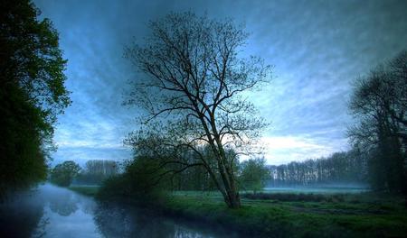 Misty-Morning - nature, morning, sky, trees, reflection, clouds, beautiful