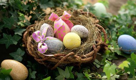 Decorated eggs in the nest