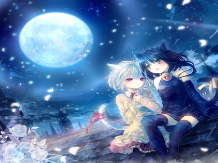 Look at moon - moon, two female, star, tie, neko, cherry blossom, alone, together, night, onineko, tail, bell, rose, cold, cute, ribbon