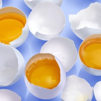 Broken Eggs with Egg Yolk