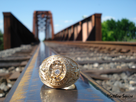 Ring on the rail - ring, trees, railroad, bridge