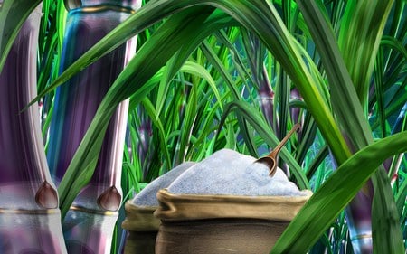 Sugar and Suagrcane - hd, suagrcane, 3d, food, sugar, cg