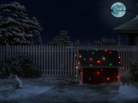 Puppy's Christmas - dog house, moon, puppy, snow, christmas, lights